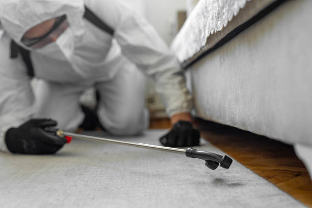 Professional Bed Bug Control technician working in Ransomville, NY