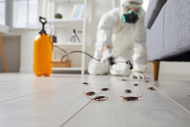 Trusted Fumigation Services service in Ransomville, NY - Nex Pest Control