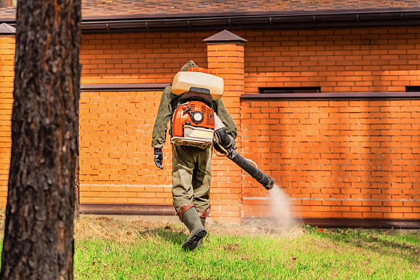 Trusted Ant Control service in Ransomville, NY - Nex Pest Control